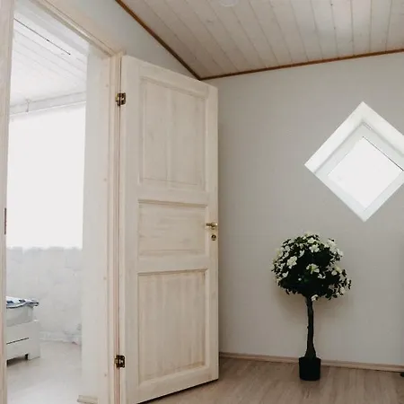 Vesiroos - Free Parking 派尔努