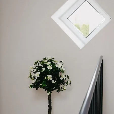Vesiroos Appartement *