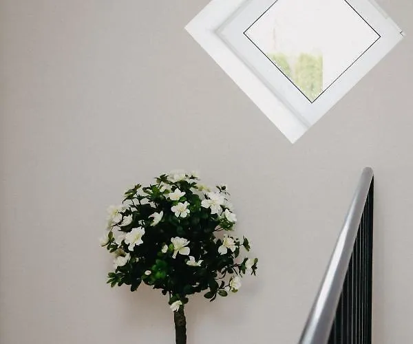 Vesiroos - Free Parking Διαμέρισμα *